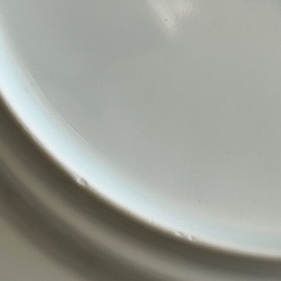 Dansk Ceylon 11" Blue White Dinner Plates Set Of 2 - Picture 12 of 12